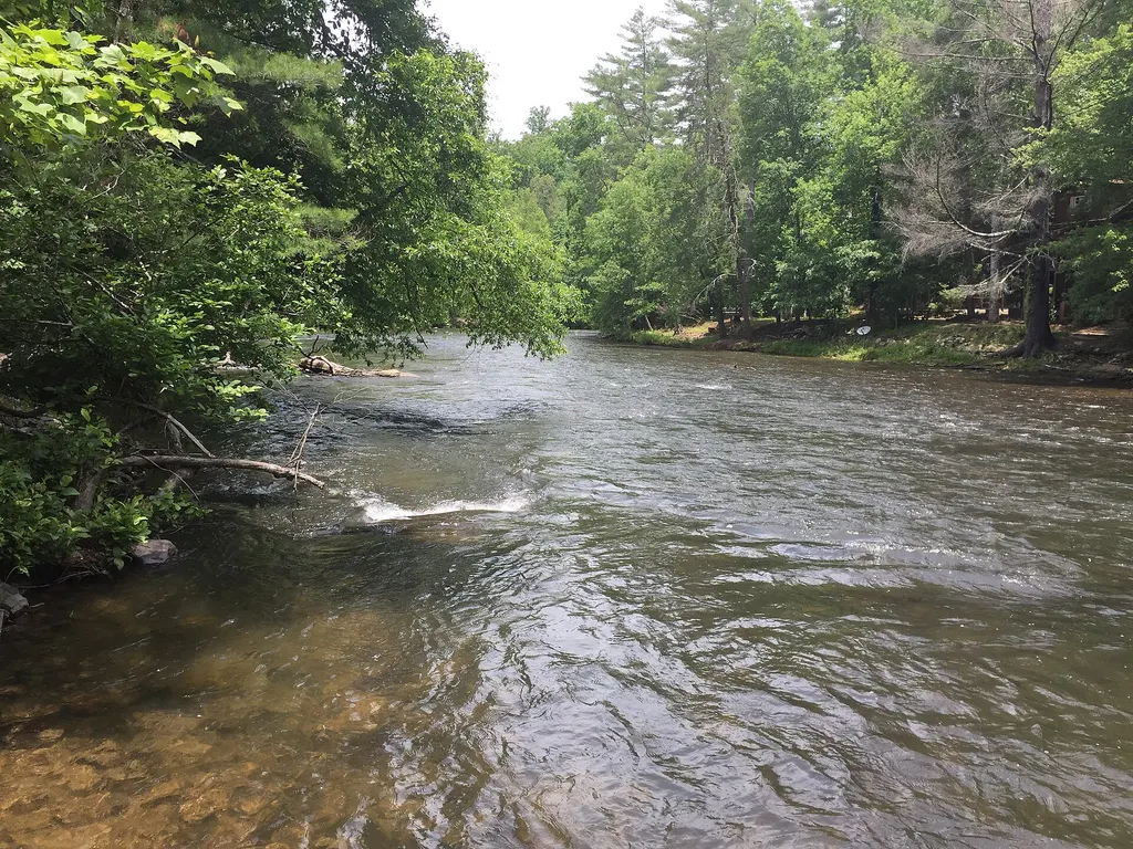 The Toccoa River running clear between wooded banks